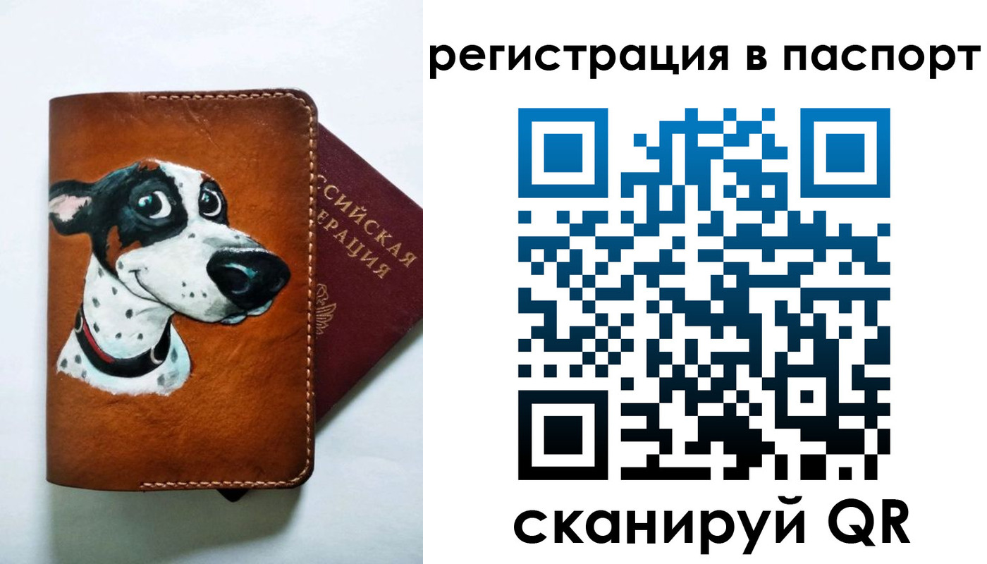 прописка штамп в Куртамыше